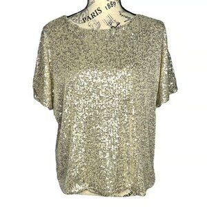 H&M SMALL Sparkly Straight Cut Sequined Mesh Short Sleeve Top Blouse Tee